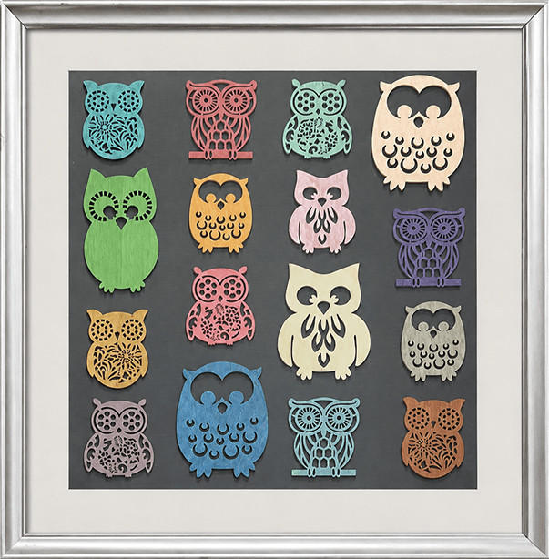 Owl Academy