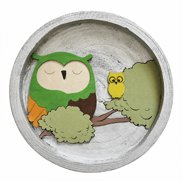 Owl Academy