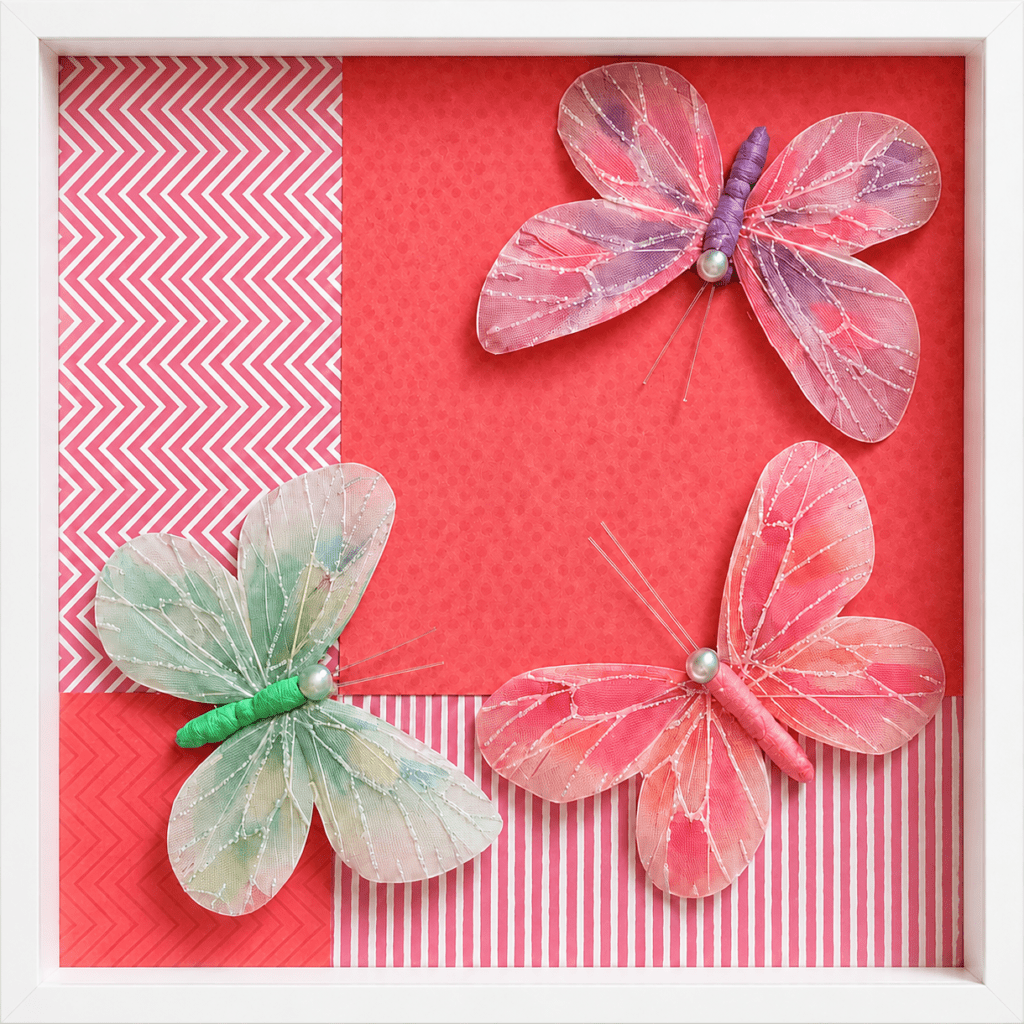 Tricolore Butterflies