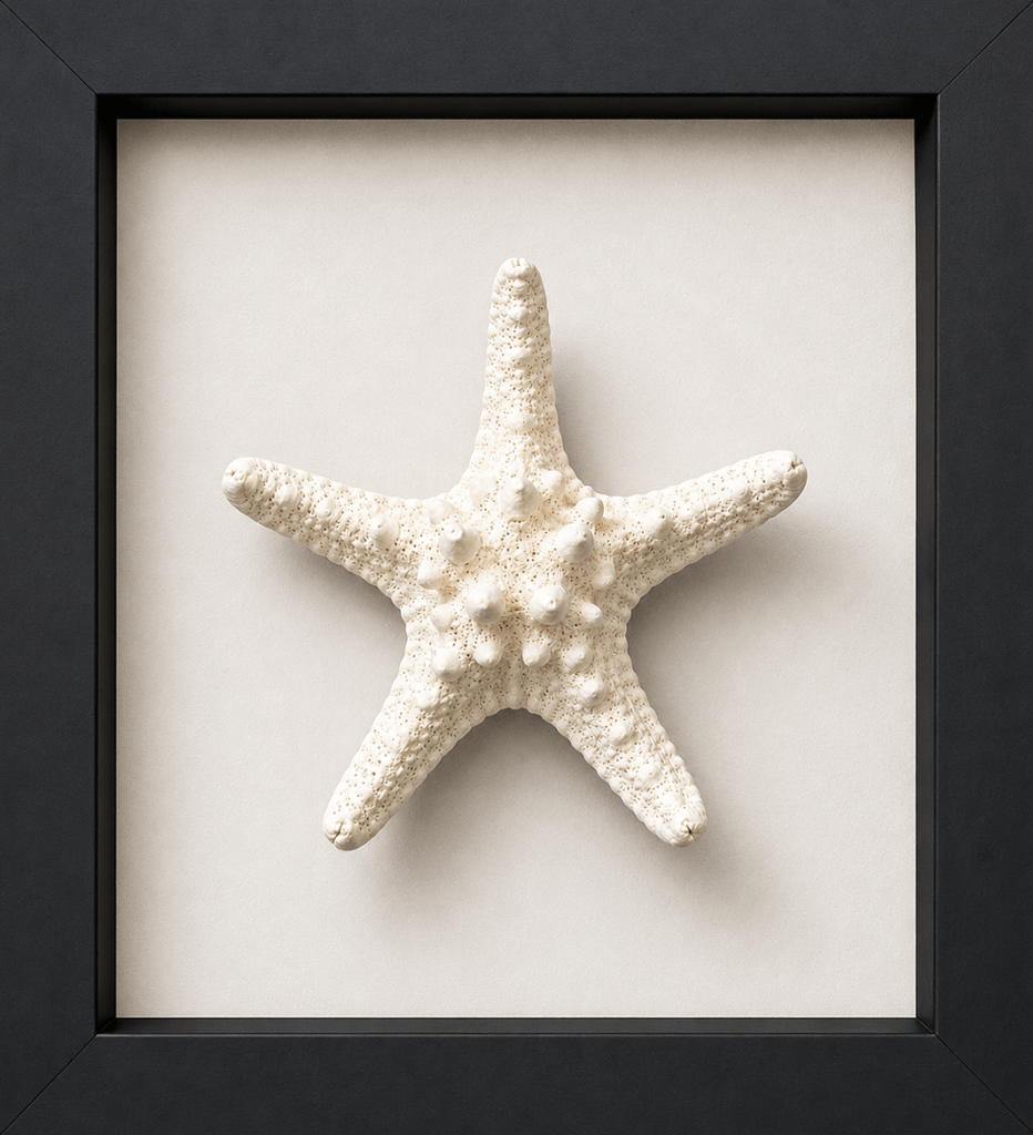 Under the Sea Anchor