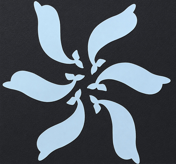 Under the Sea Anchor