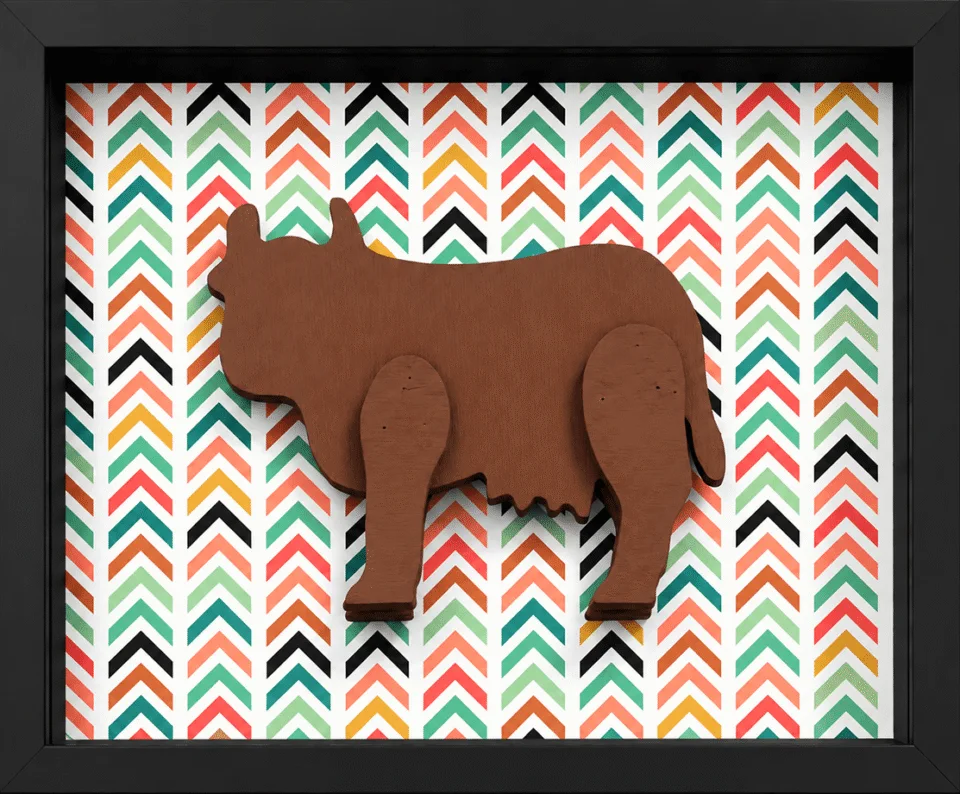Safari