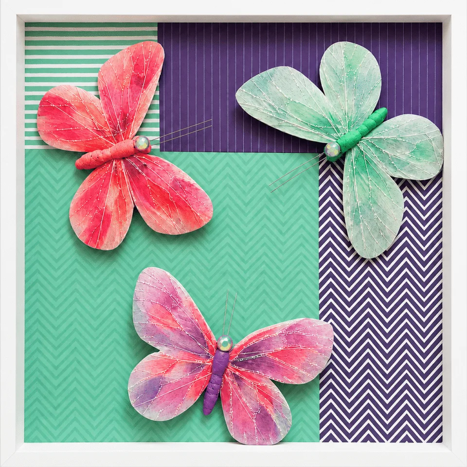 Tricolore Butterflies