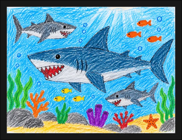 #50 — Sharks