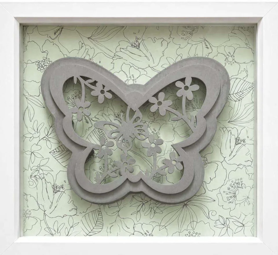 Birds and Butterflies