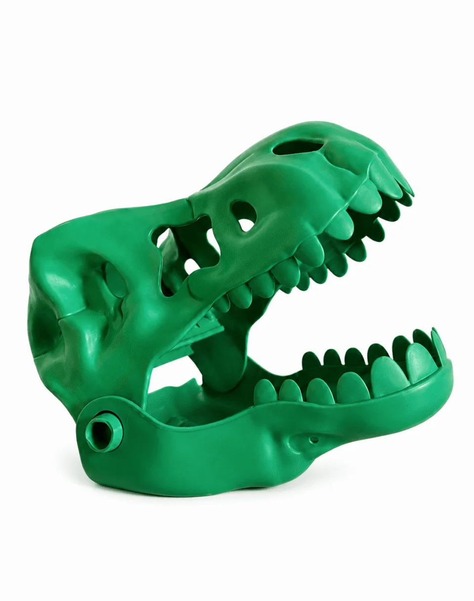 Dig_n Dinos