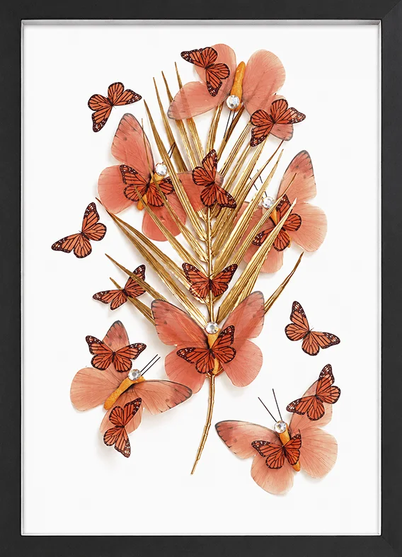 Golden Flutterby_s